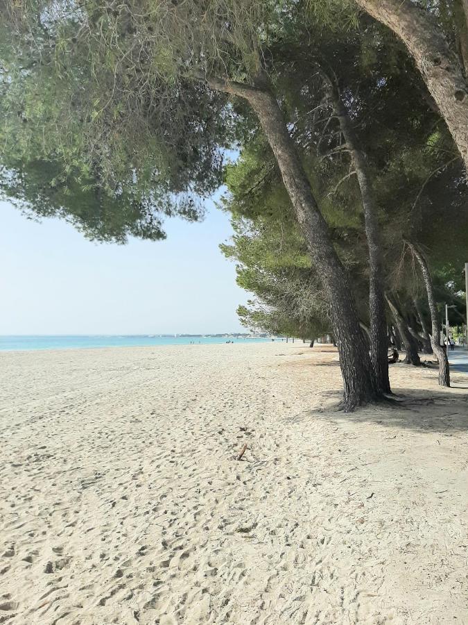Beach Apartment Minerva Port de Alcudia  Exterior foto
