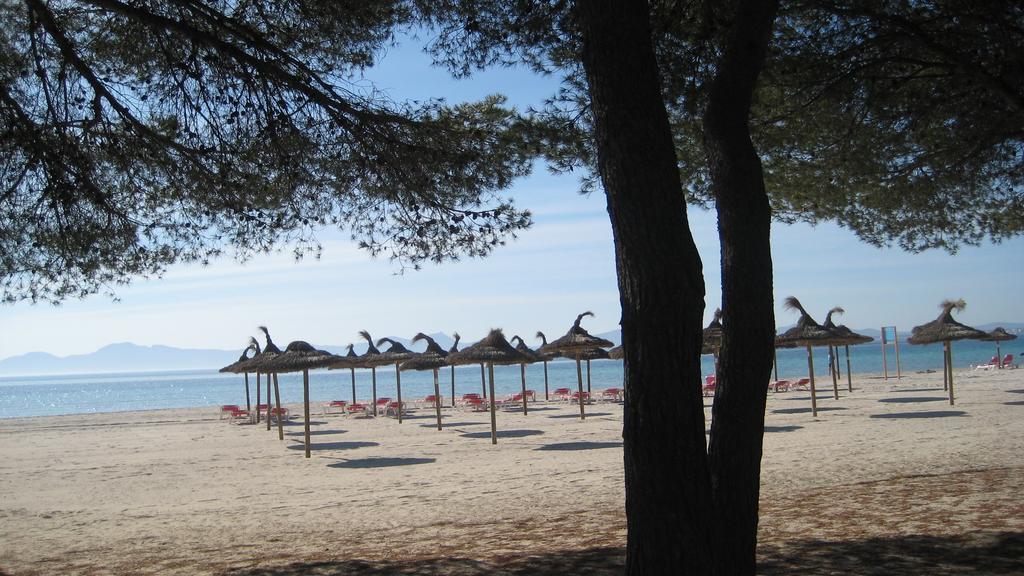 Beach Apartment Minerva Port de Alcudia  Cameră foto